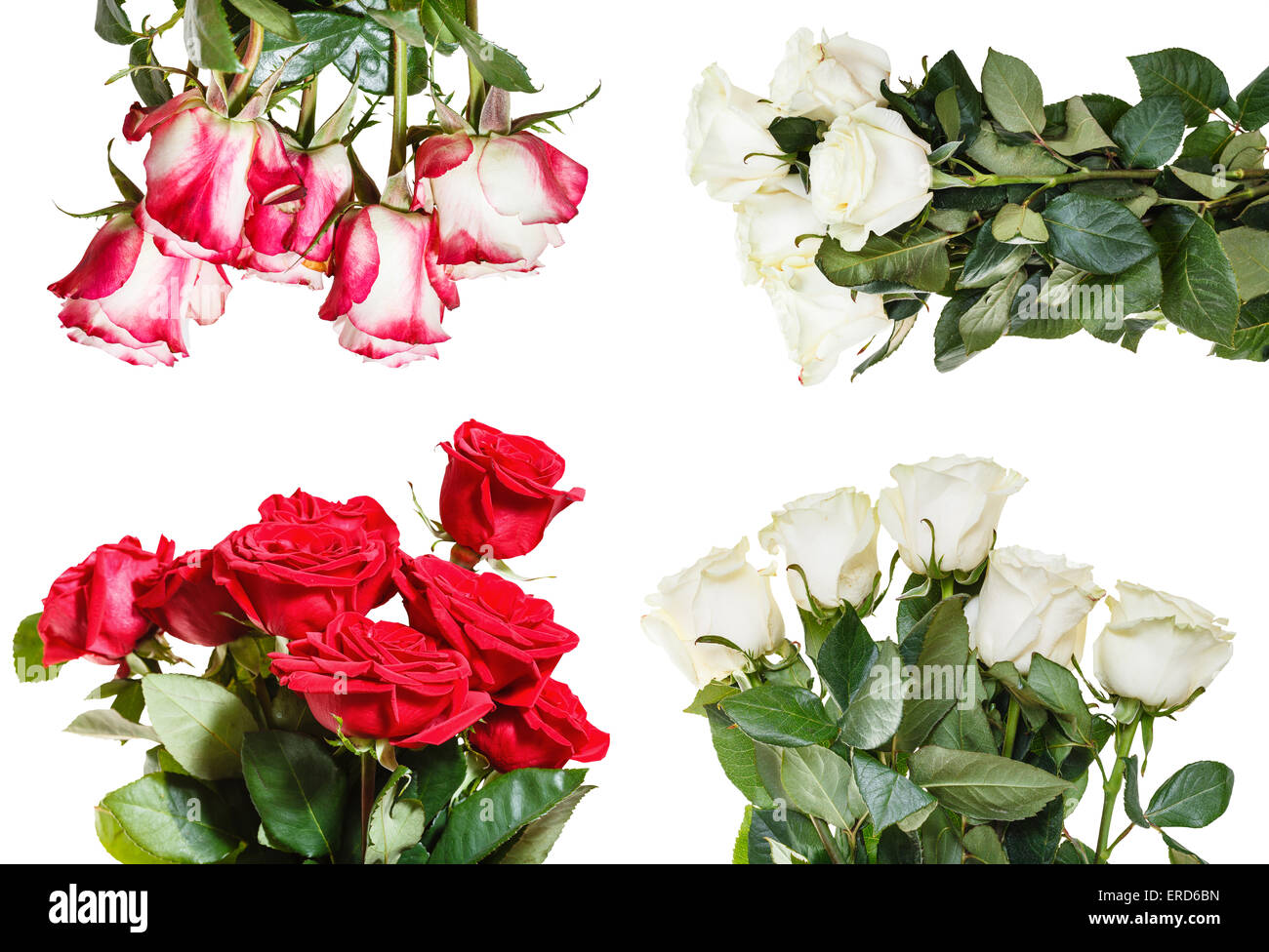 set of various rose bouquets isolated on white background Stock Photo ...
