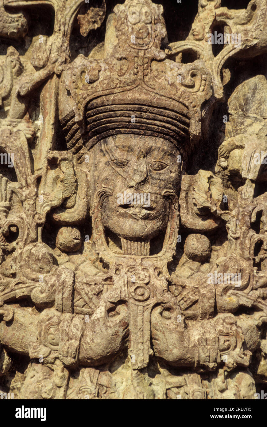 Honduras, Copan Ruins. Stella B, of 18 Rabbit, 731 A.D Stock Photo - Alamy