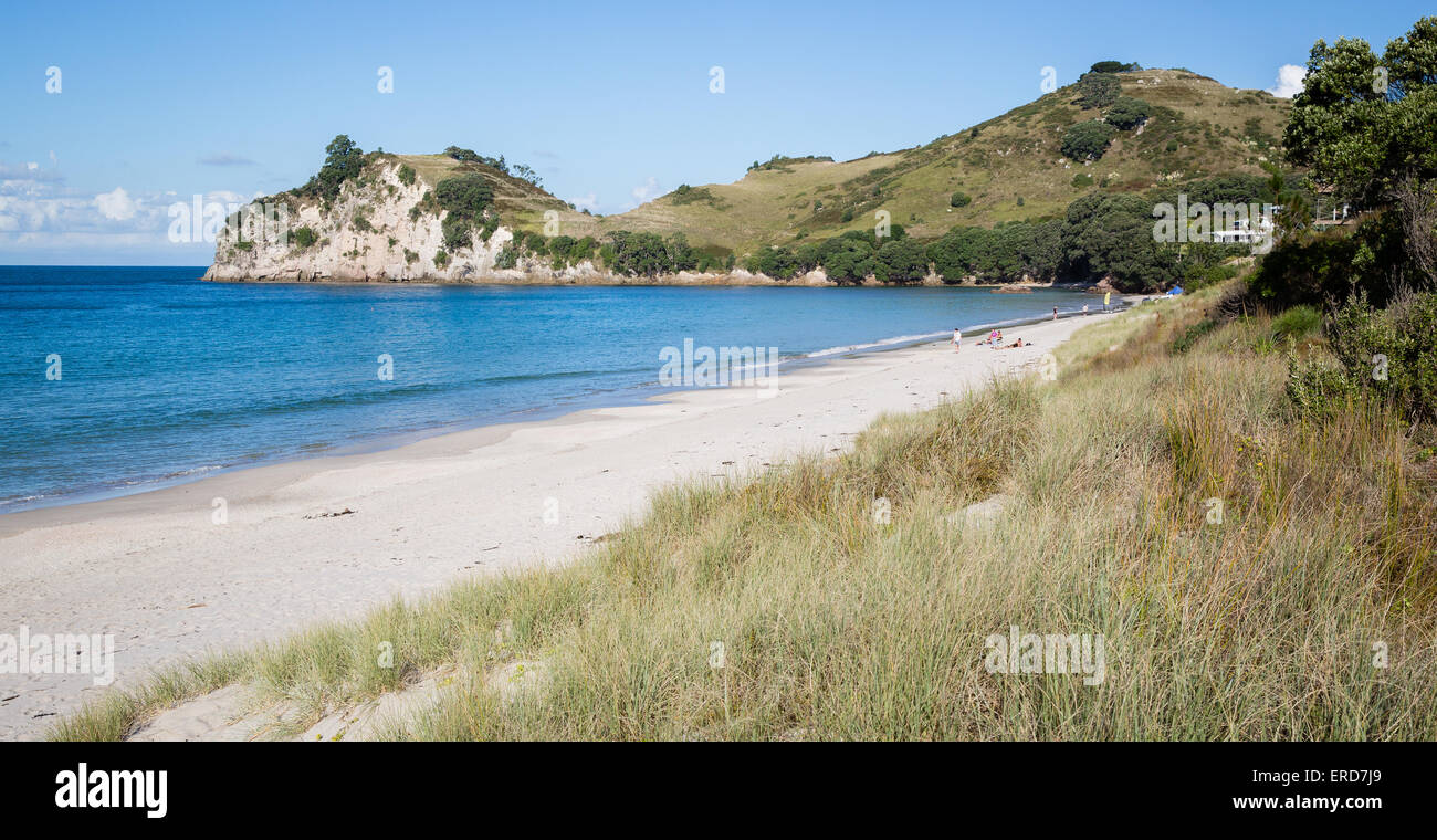 Hahei beach on the Coromandel Peninsula in North Island New Zealand Stock Photo
