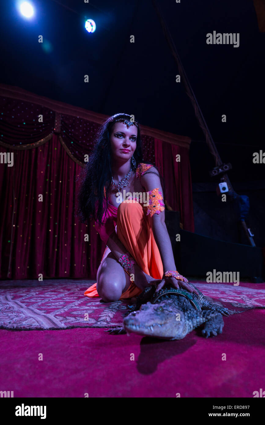 Full Length of Exotic Dark Haired Dancer Kneeling on Stage Next to Small Alligator in Dramatic Spolights Stock Photo