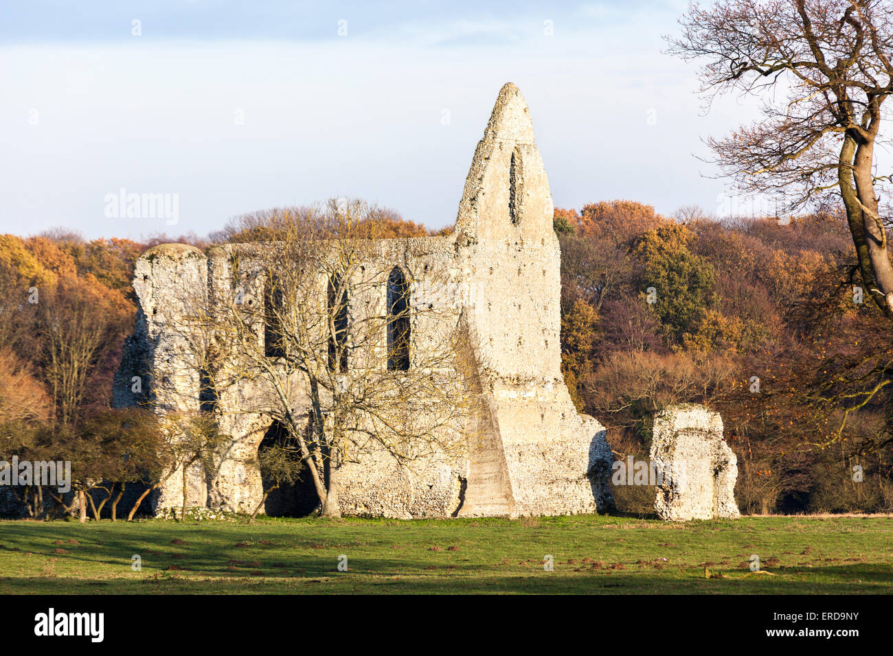 Dissolution Of Monasteries Henry Viii Stock Photos & Dissolution Of