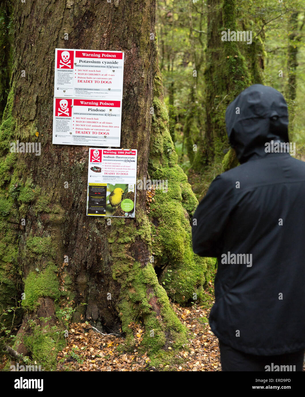 Entrance to the Lake Gunn Nature Walk in Fjordland South Island New Zealand warning of traps and poisons used for pest control Stock Photo