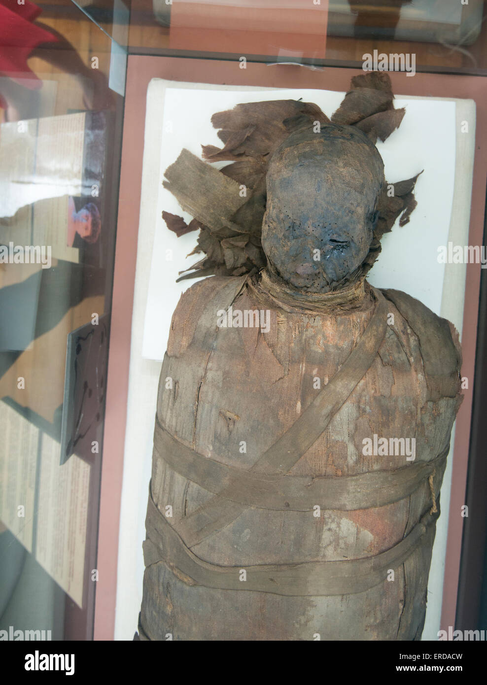 Family Fun in Montreal, Quebec, Canada. Redpath Museum. Real mummy inside of museum. Stock Photo