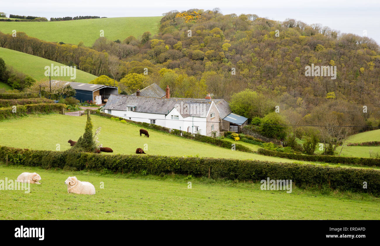 Ash farm coleridge hires stock photography and images Alamy