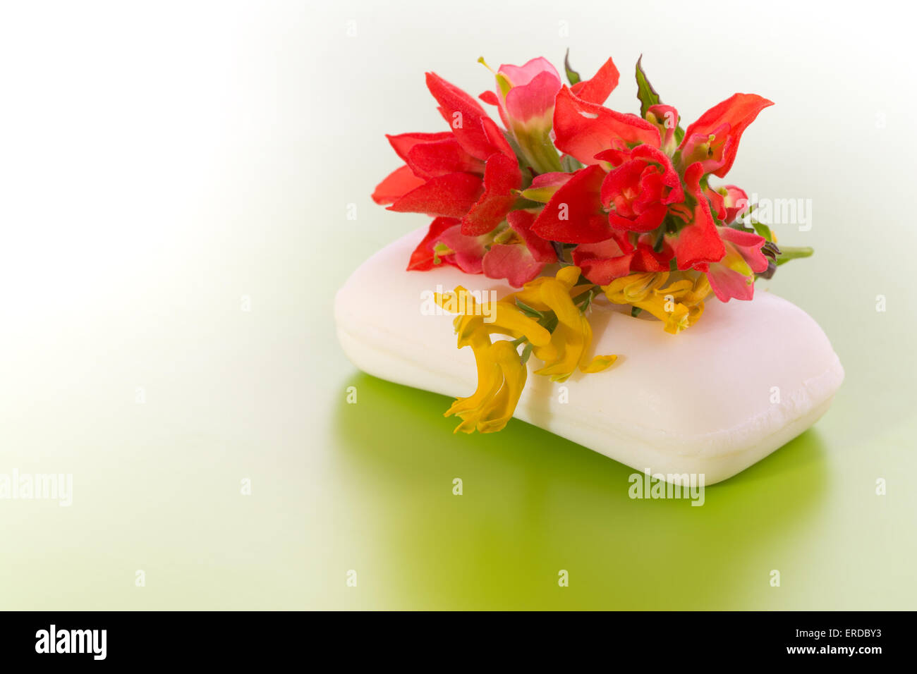 Bright wildflowers on top of soap, with gradient green background Stock Photo