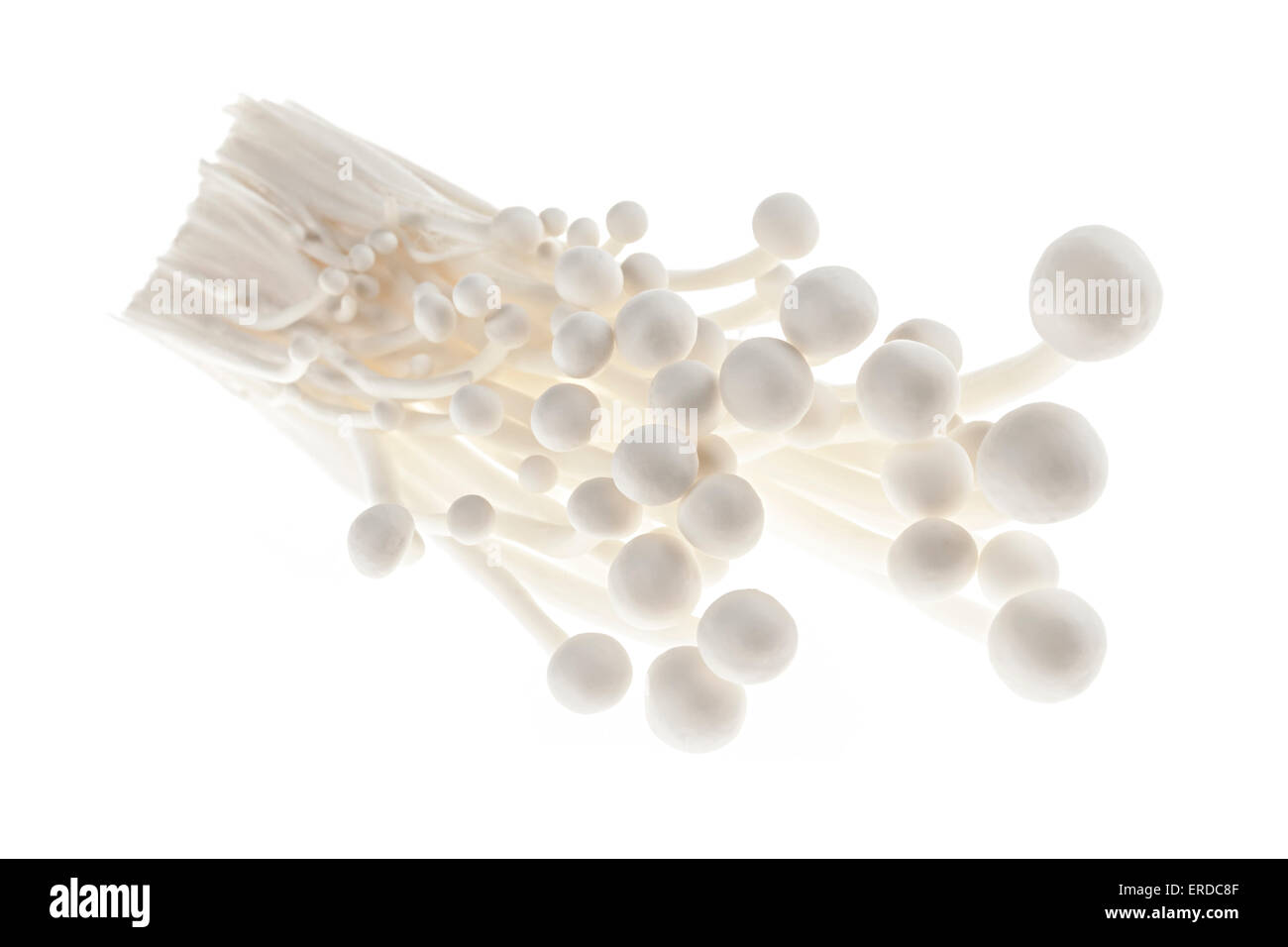 Enoki mushrooms bunch isolated on white background closeup Stock Photo