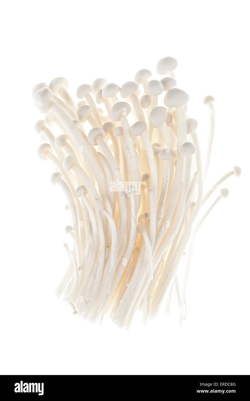 Enoki mushrooms bunch isolated on white background Stock Photo