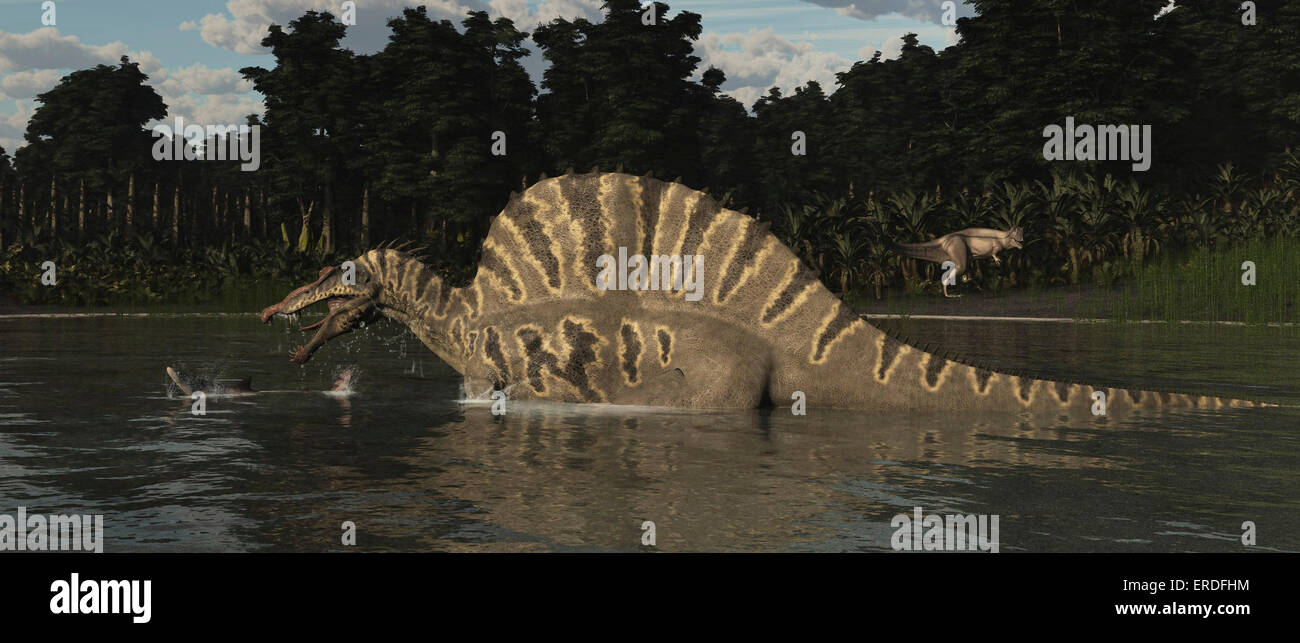 Spinosaurus hunting for fish in a lake. The largest known predator at 54 feet long, Spinosaurus lived in North Africa from the e Stock Photo