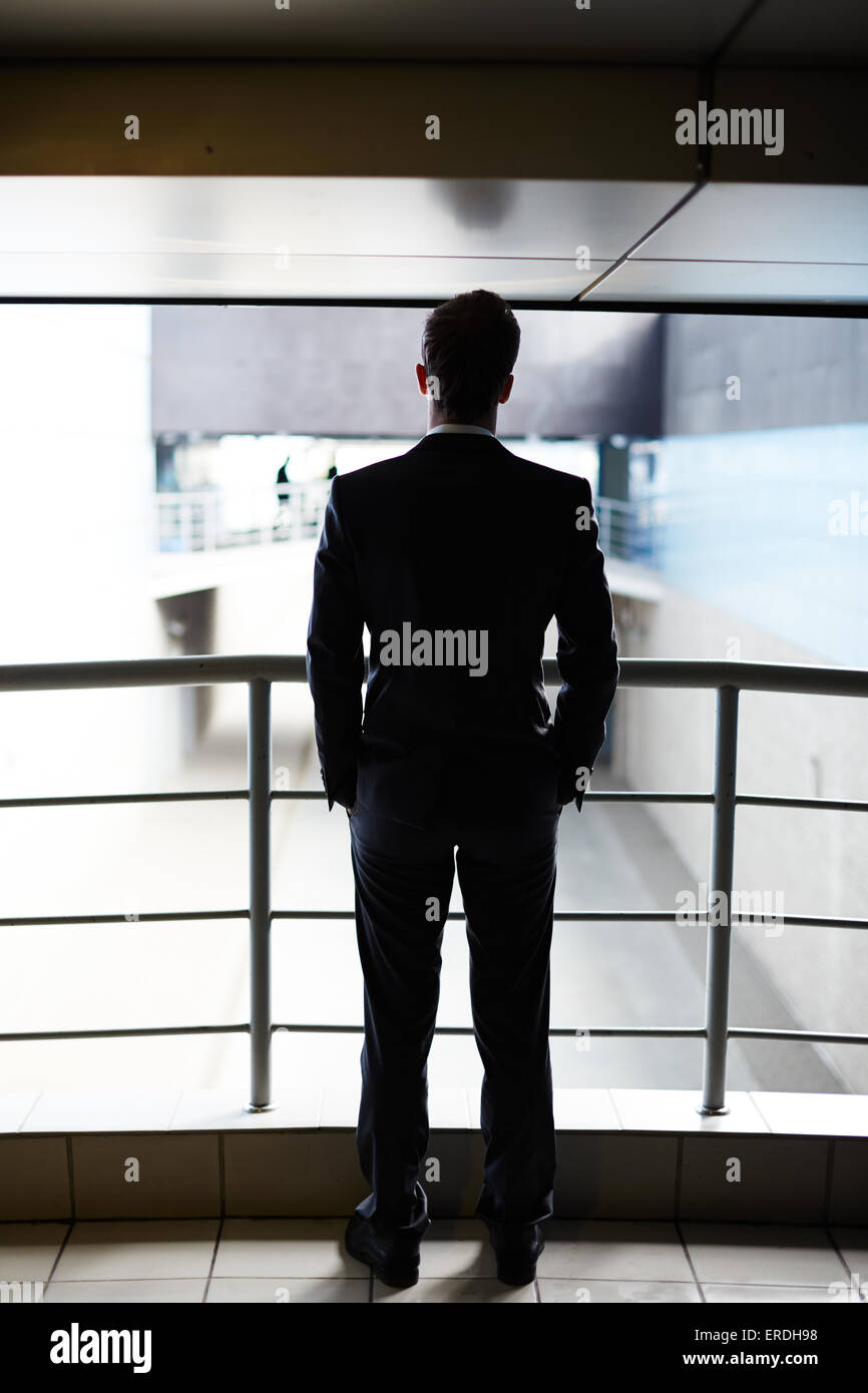 Rear view of businessman standing by railings Stock Photo - Alamy