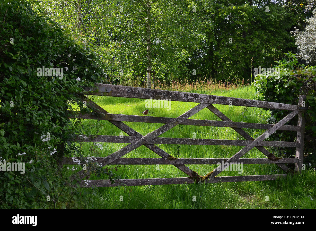 Rustic wood farm gate in the Sussex countryside in England Stock Photo Alamy