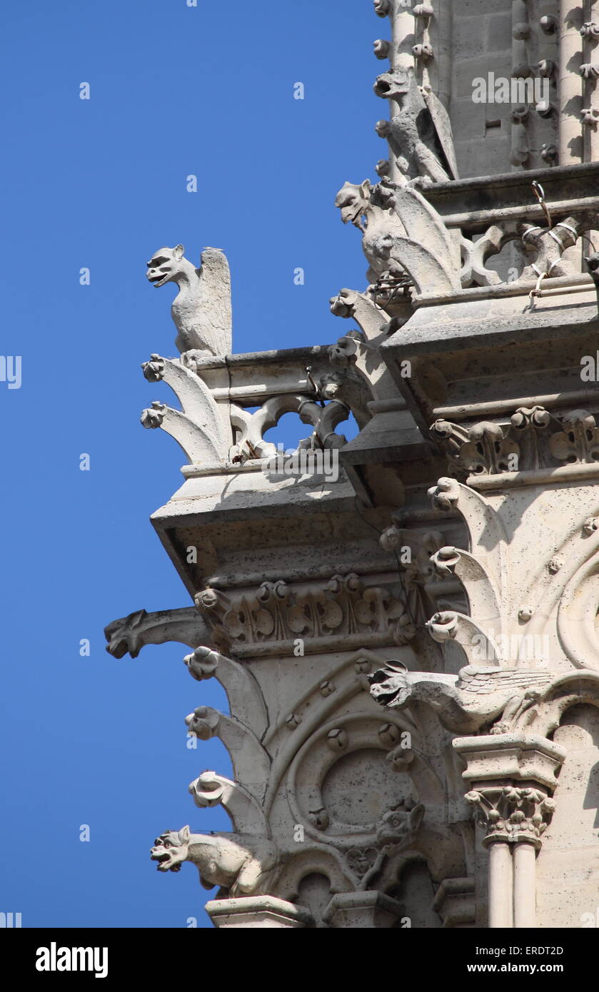 Gargoyles in Notre Dame Cathedral. Paris, France Stock Photo