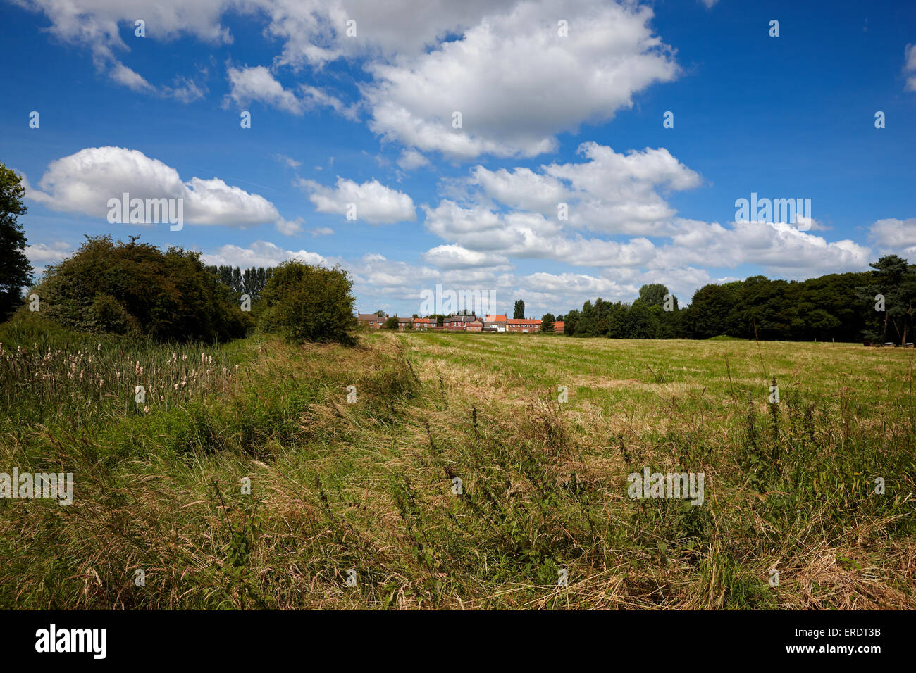 Cawood Castle Garth, Cawood, North Yorkshire UK. A preserved green space in this historical village. Stock Photo