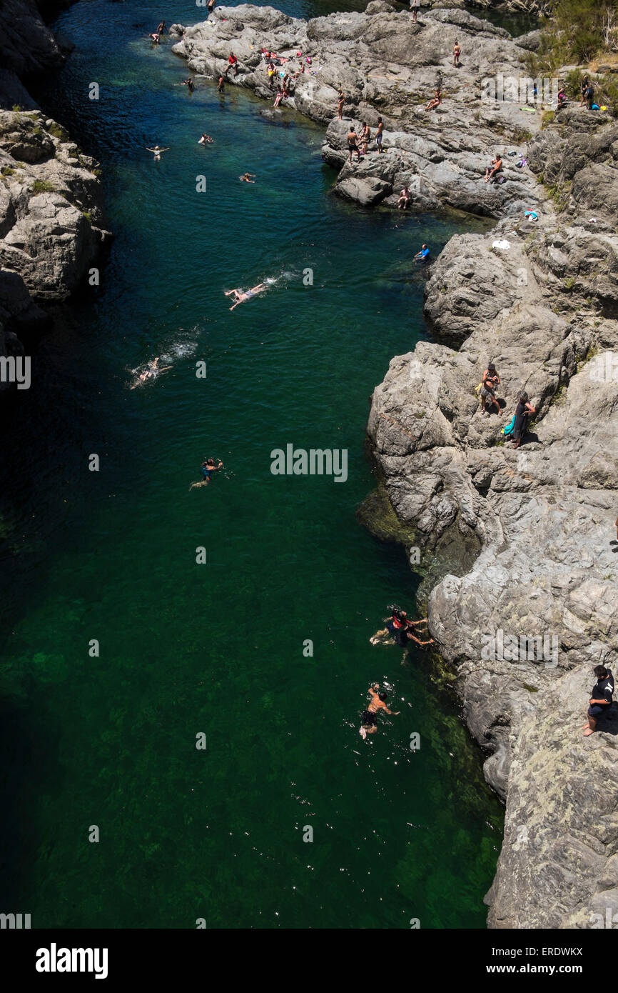 Swimming in the Pelorus river in New Zealand. Stock Photo