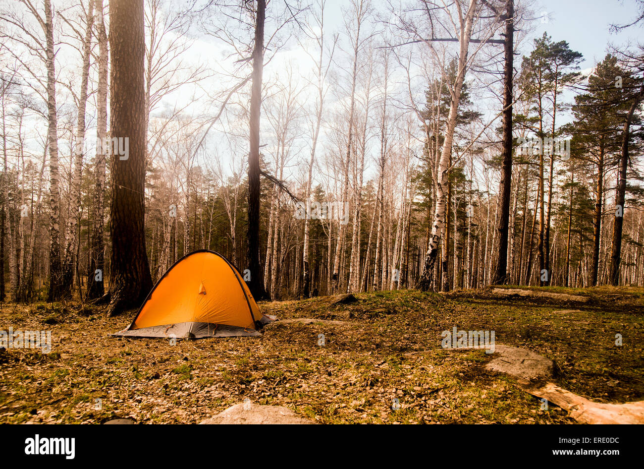 Tent at campsite in rural forest Stock Photo Alamy