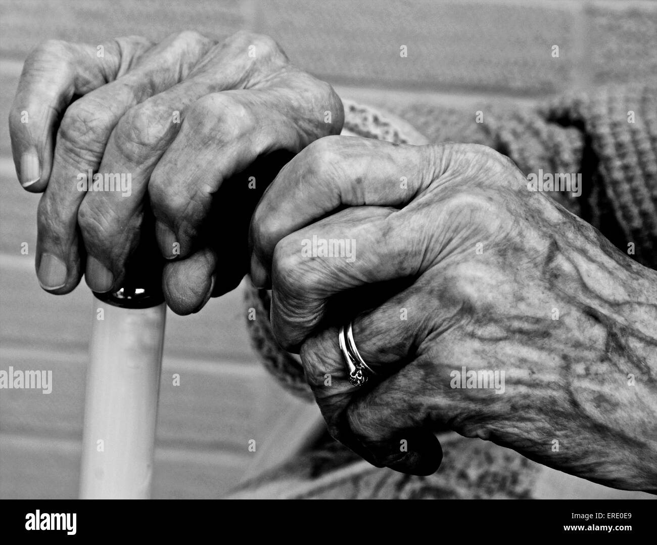 The aged and wrinkled hands of an old lady woman pensioner senior citizen Stock Photo