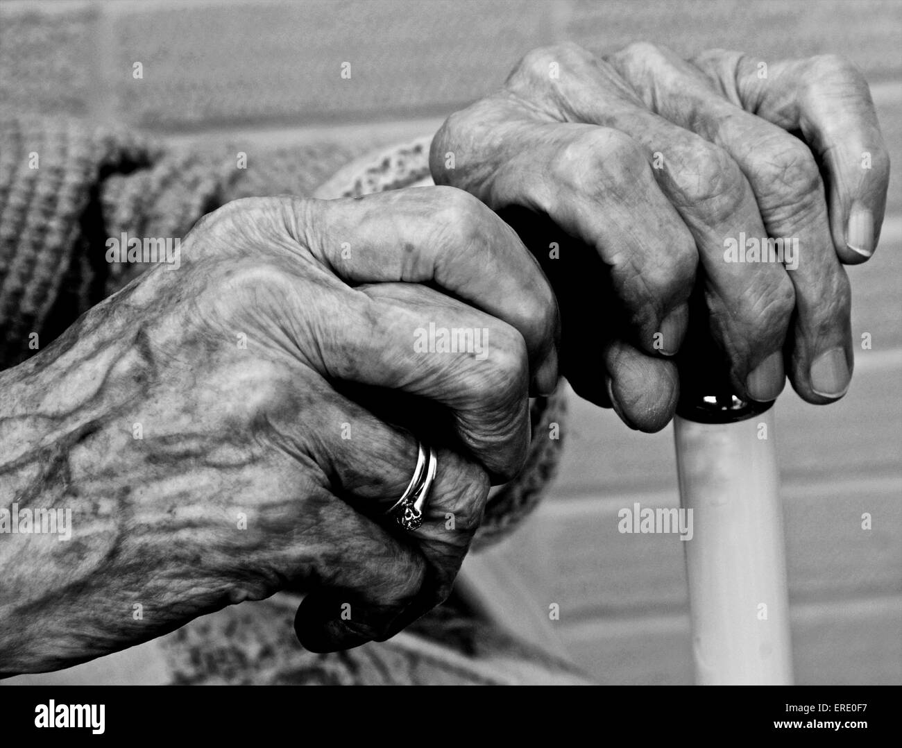 The aged and wrinkled hands of an old lady woman pensioner senior citizen Stock Photo