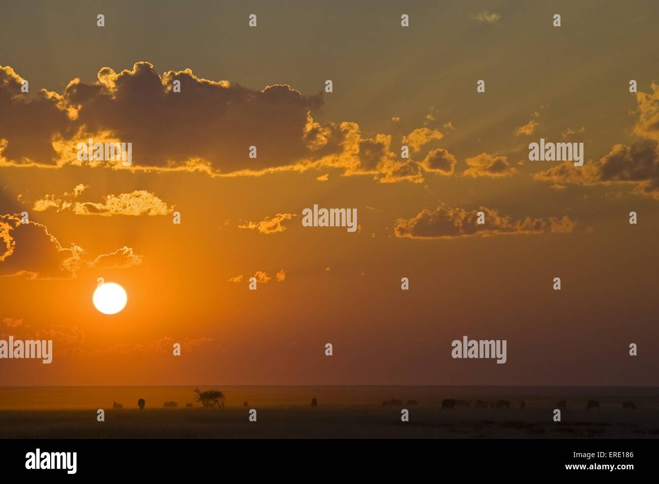 sundown Stock Photo