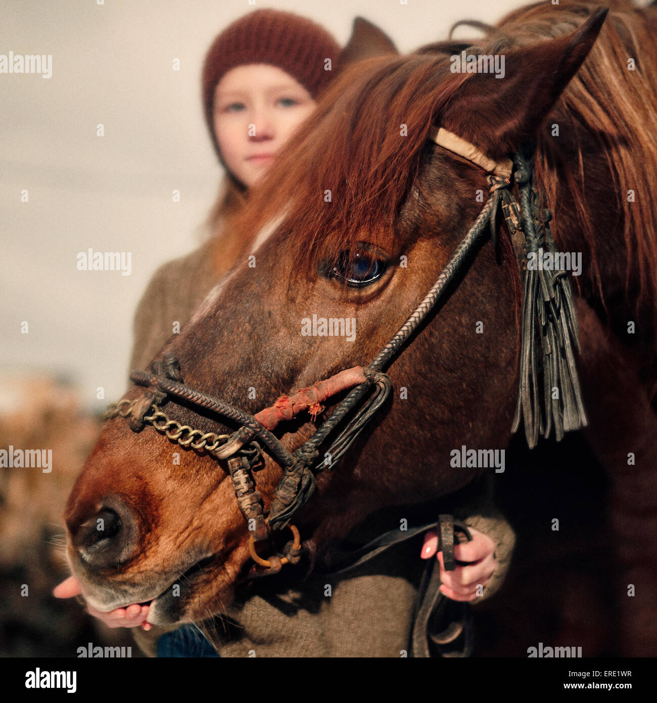 Caucasian girl holding rein of horse Stock Photo
