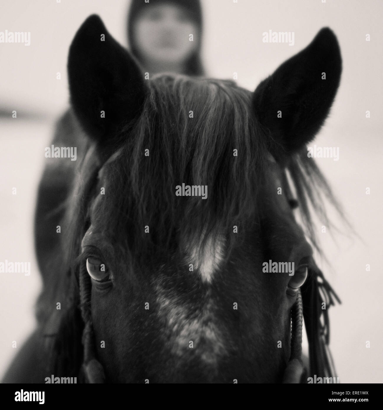Caucasian girl riding horse outdoors Stock Photo