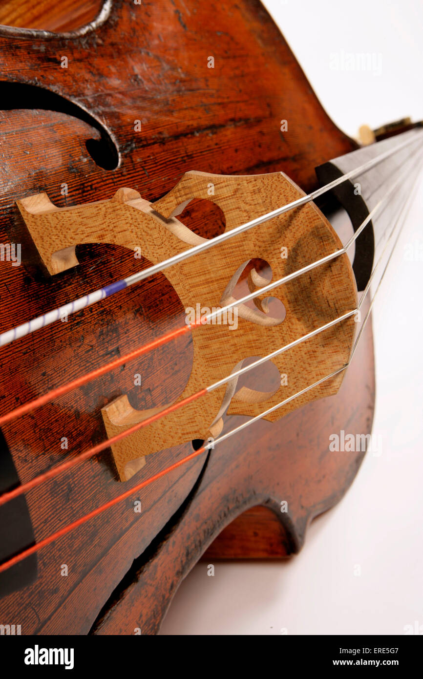 Detail shot of a Double Bass showing strings, bridge and fingerboard