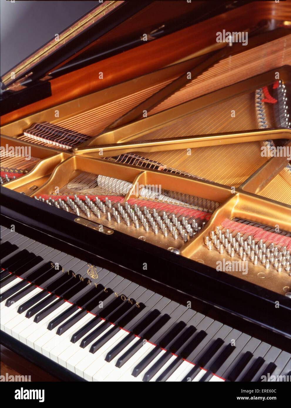 Keyboard Family Instruments