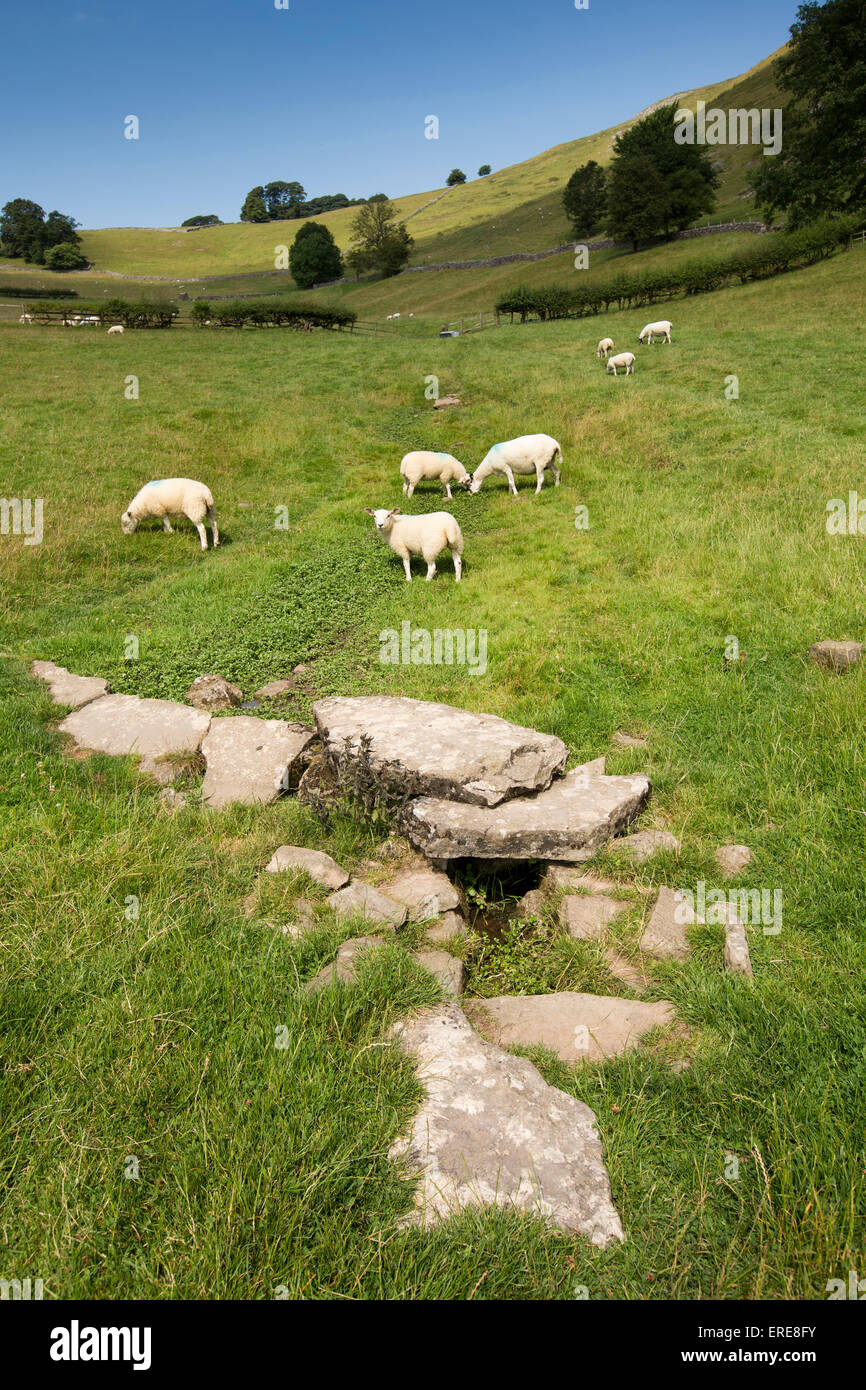 UK, England, Staffordshire, Ilam, Bunster Hill, hillside spring serving as sheep drinking place Stock Photo