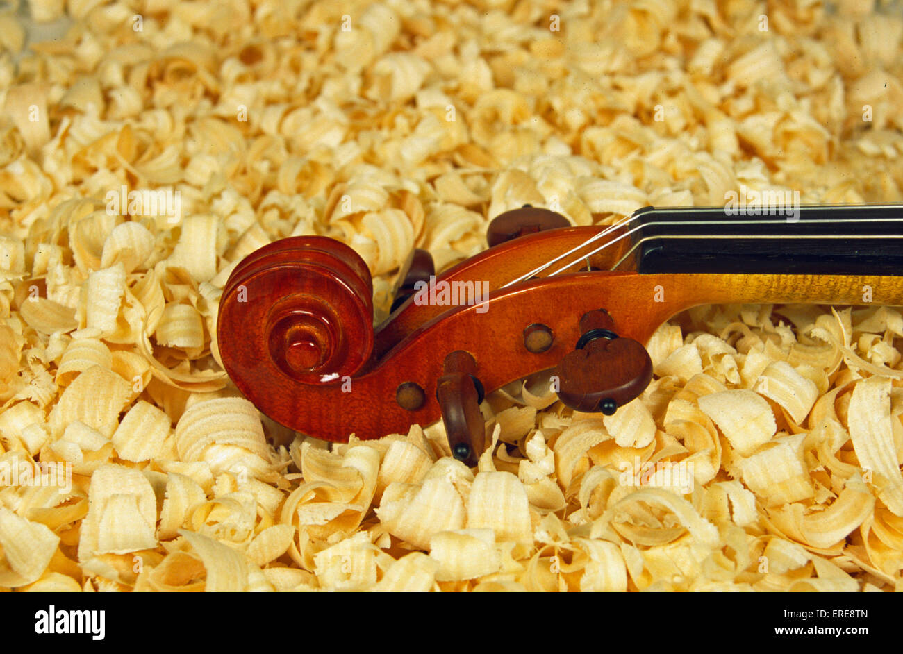 Close-up of violin head resting on wood shavings. The shape of the shavings echoes that of the scroll. Stock Photo