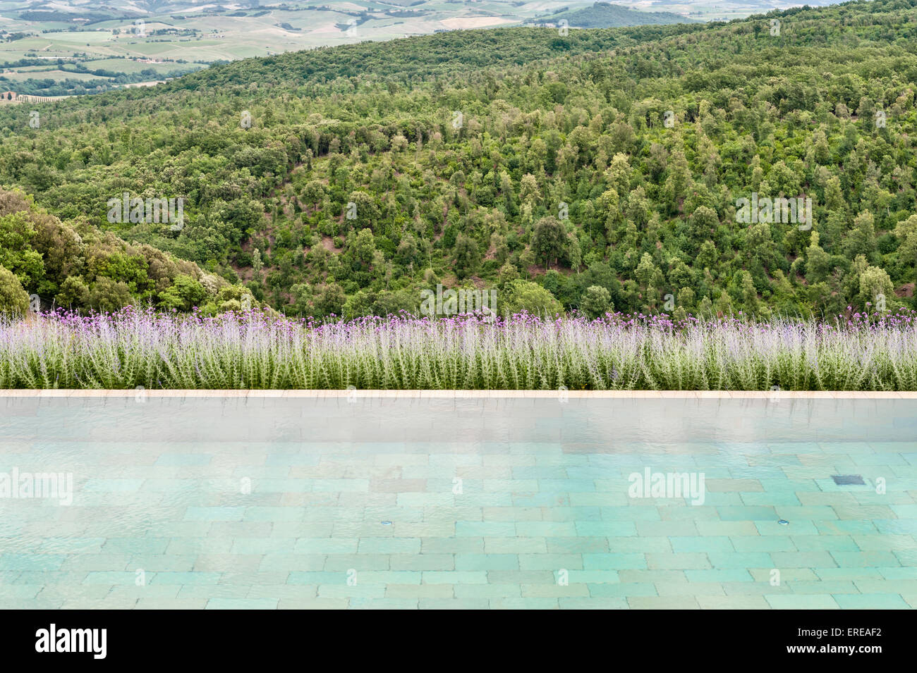 Pool of a luxury hotel hi-res stock photography and images - Alamy