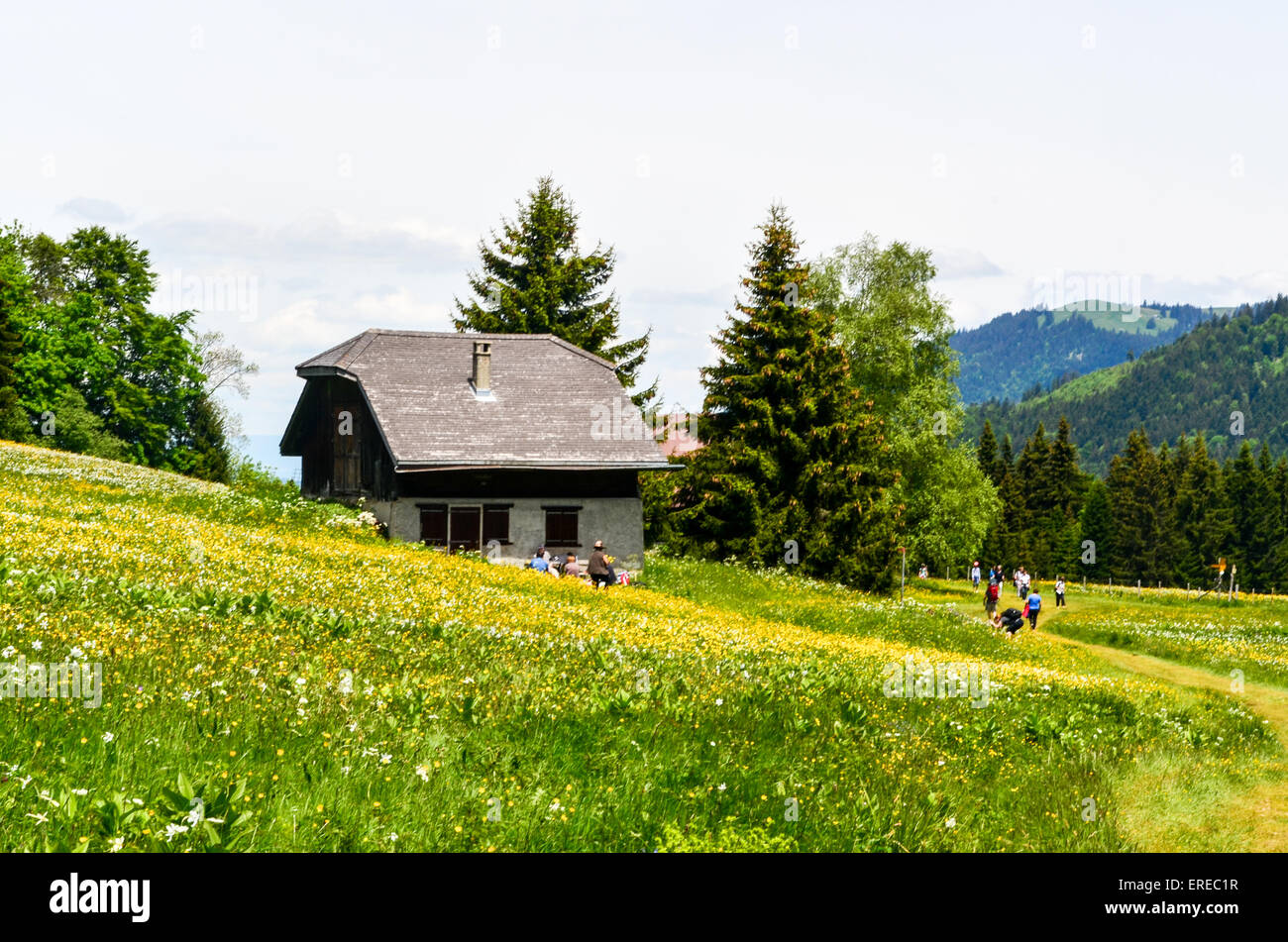 Chalet house in the mountains of Switzerland Stock Photo Alamy