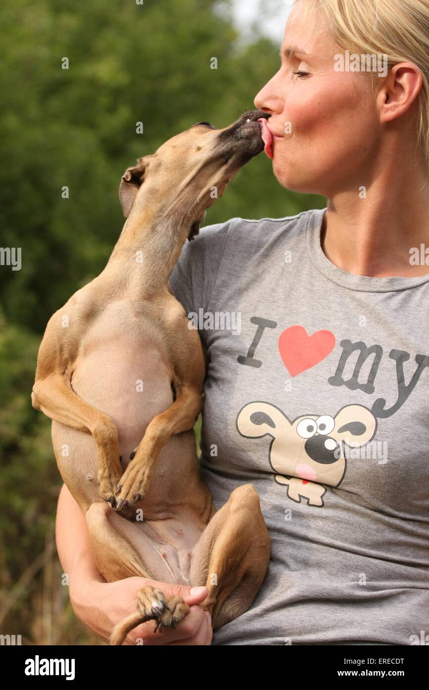 Woman kissing dog tongue hi-res stock photography and images - Alamy