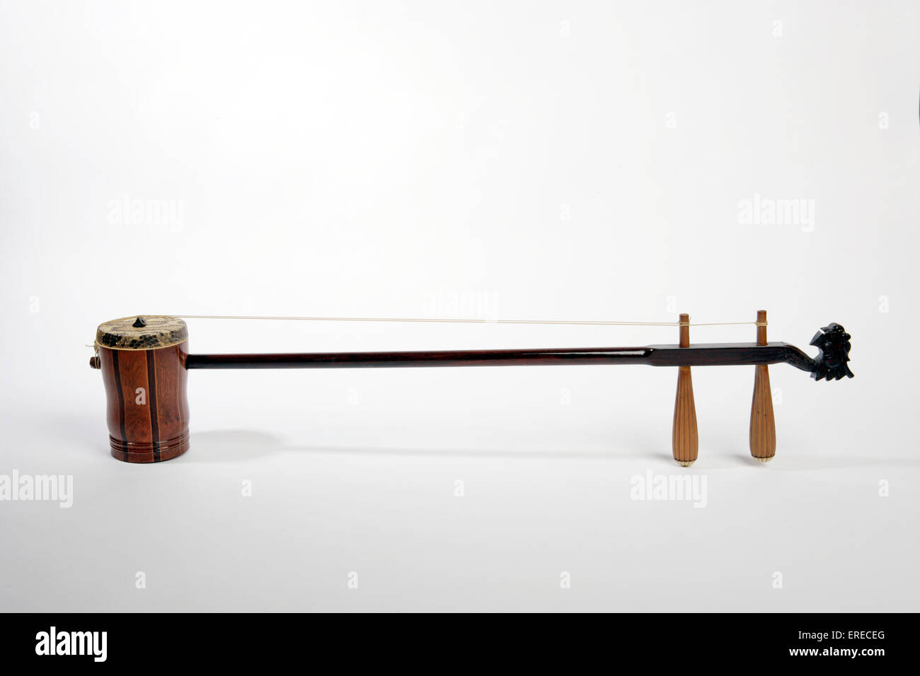 2 stringed instrument 2 stringed instrument