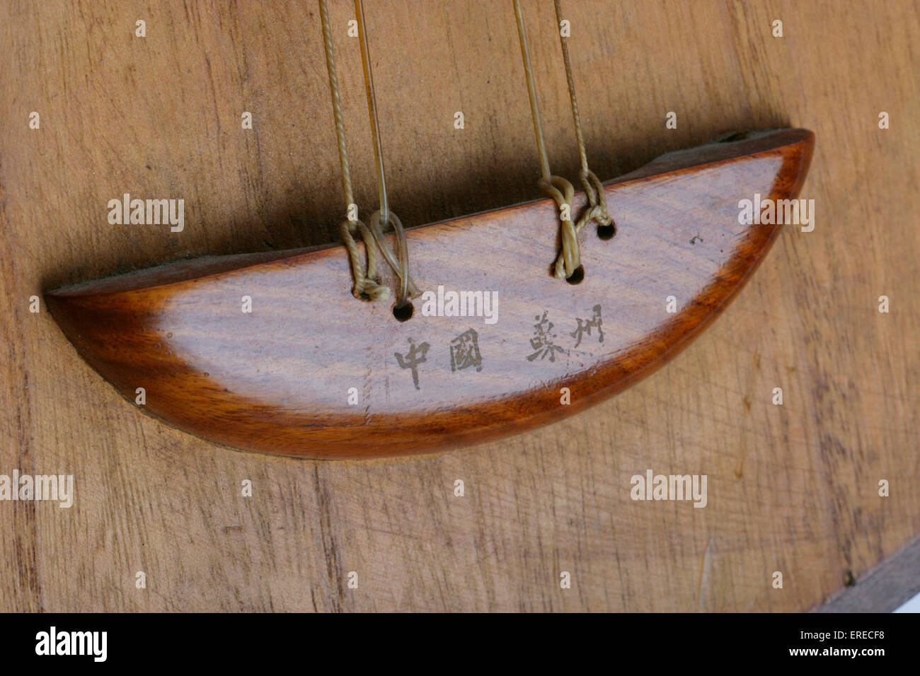 Chinese Moon shaped lute, or moon guitar. Yueh chin. Yueqin. Detail of tailpiece. Stock Photo