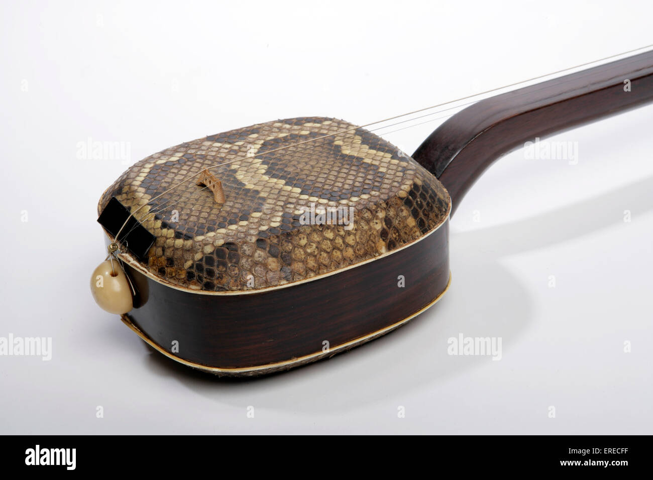 San Hsien or Sanxian, 3 stringed chinese lute. Detail of Python skin covered resonating or resonator box and bridge. Hsien Tse. Stock Photo