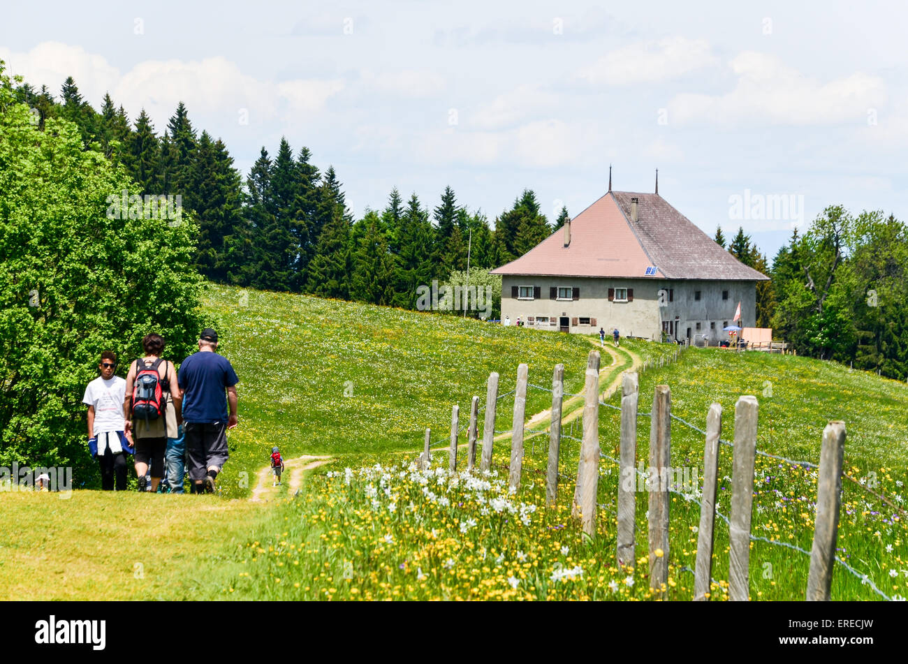 Tourists hiking in Switzerland near the farm of the Prantin Stock Photo