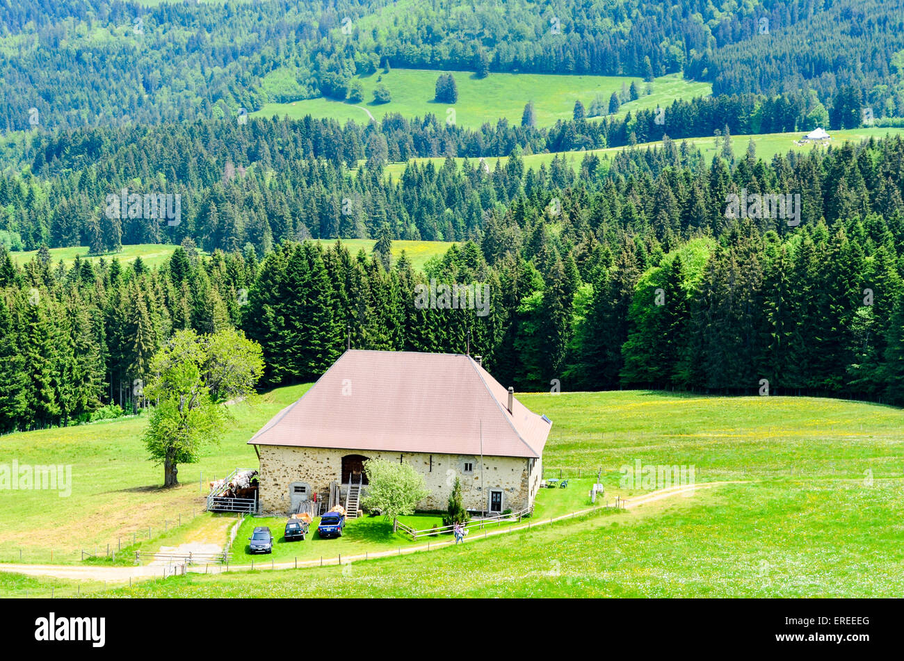 Quiet and remote farm in the mountains of Switzerland near the Prantin, Montreux Stock Photo