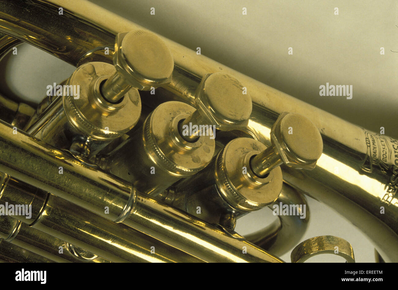 Detail of Pocket showing the valves Stock Photo Alamy