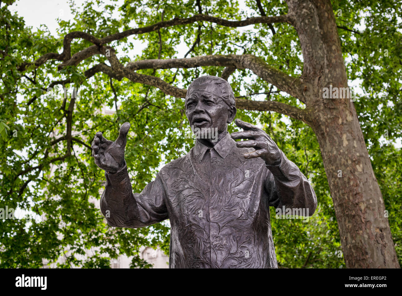 Statue of Nelson Mandela in Parliament Square, London Stock Photo Alamy