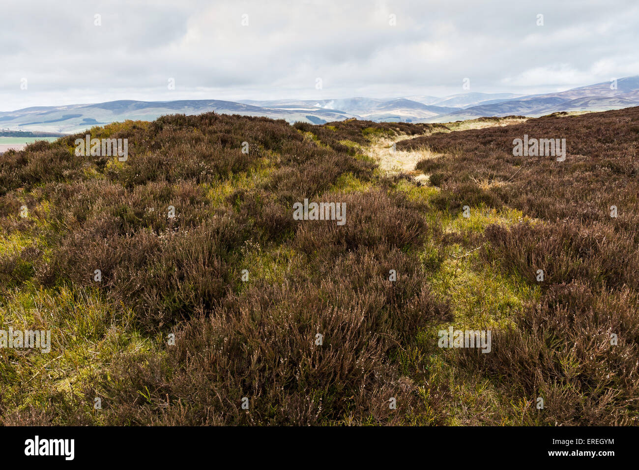 Brown Caterthun Palisade, Aberdeenshire, Scotland. Stock Photo