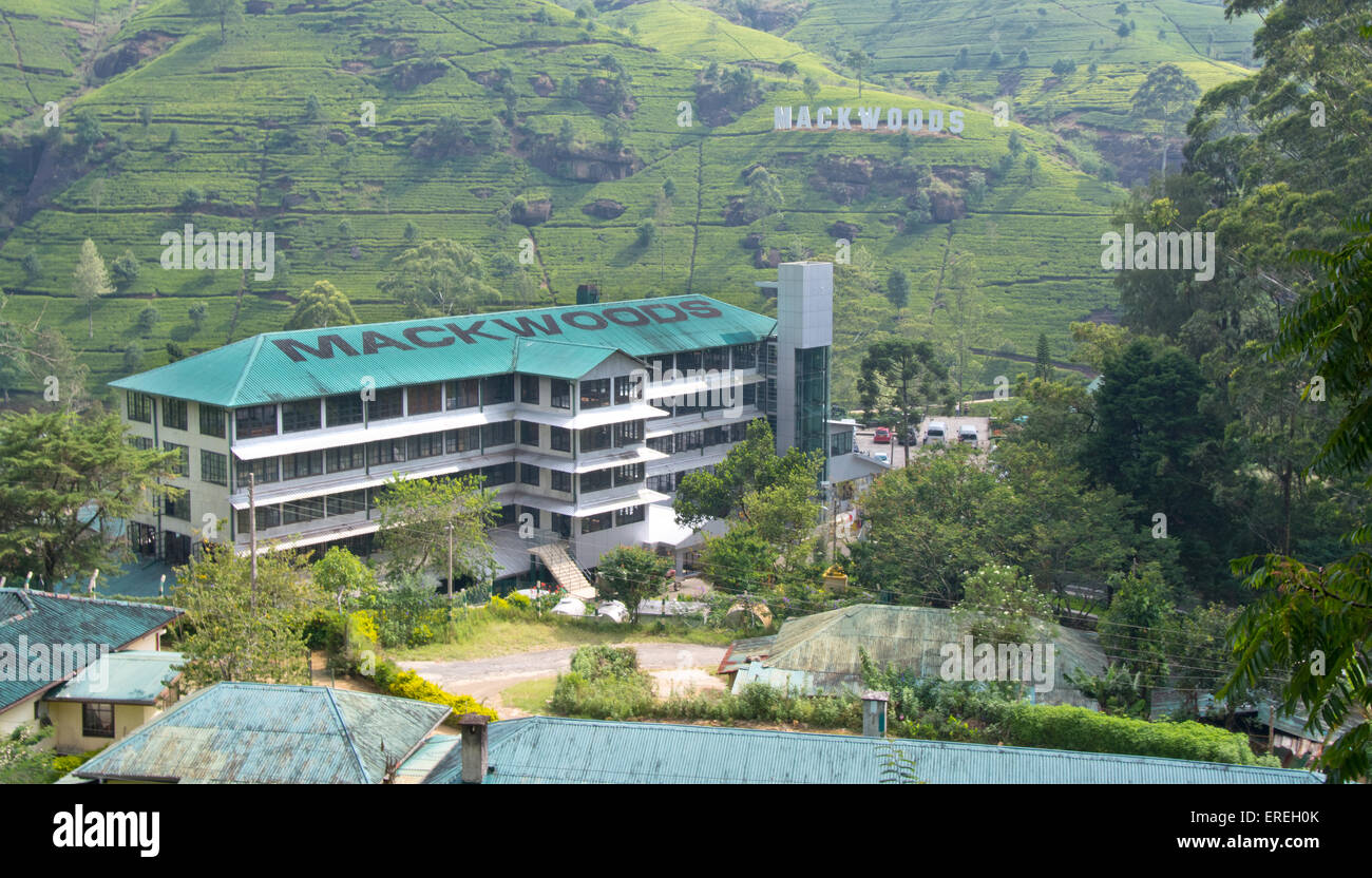 Mackwoods labookellie tea factory hi-res stock photography and images ...