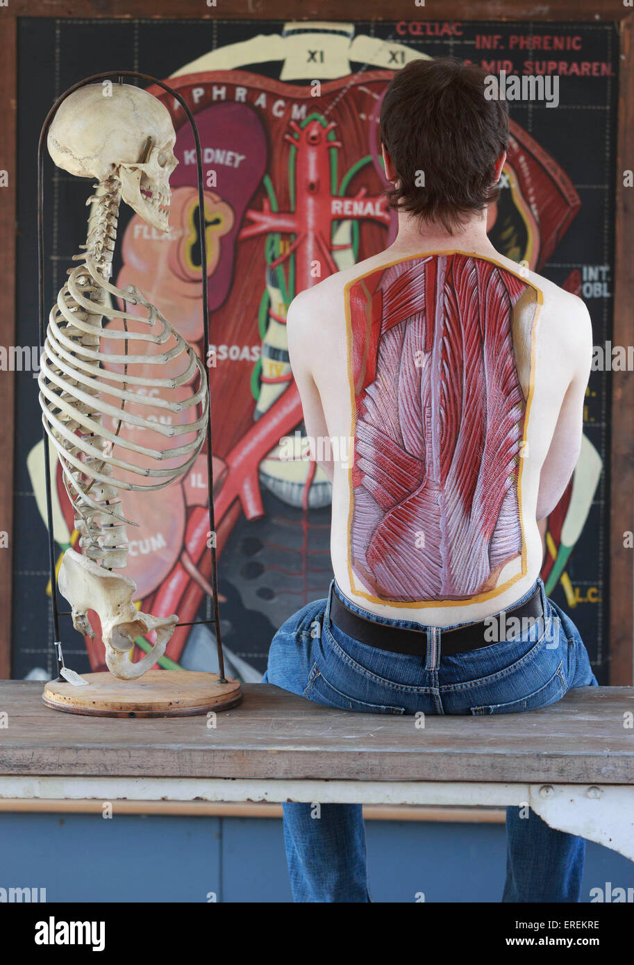 Edinburgh, Scotland, UK. 2nd of June, 2015. Doctors and artist are joining to host art and anatomy to illustrate the wonders of human body. Model poses artist Danny Quirk  Credit:  Pako Mera/Alamy Live News Stock Photo