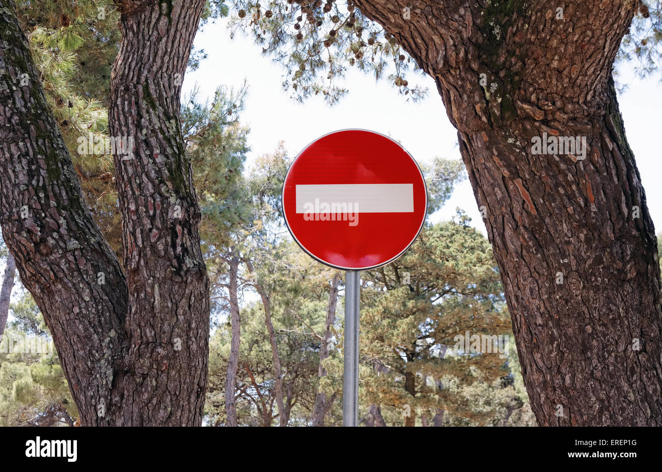 do not enter traffic sign between two trees Stock Photo