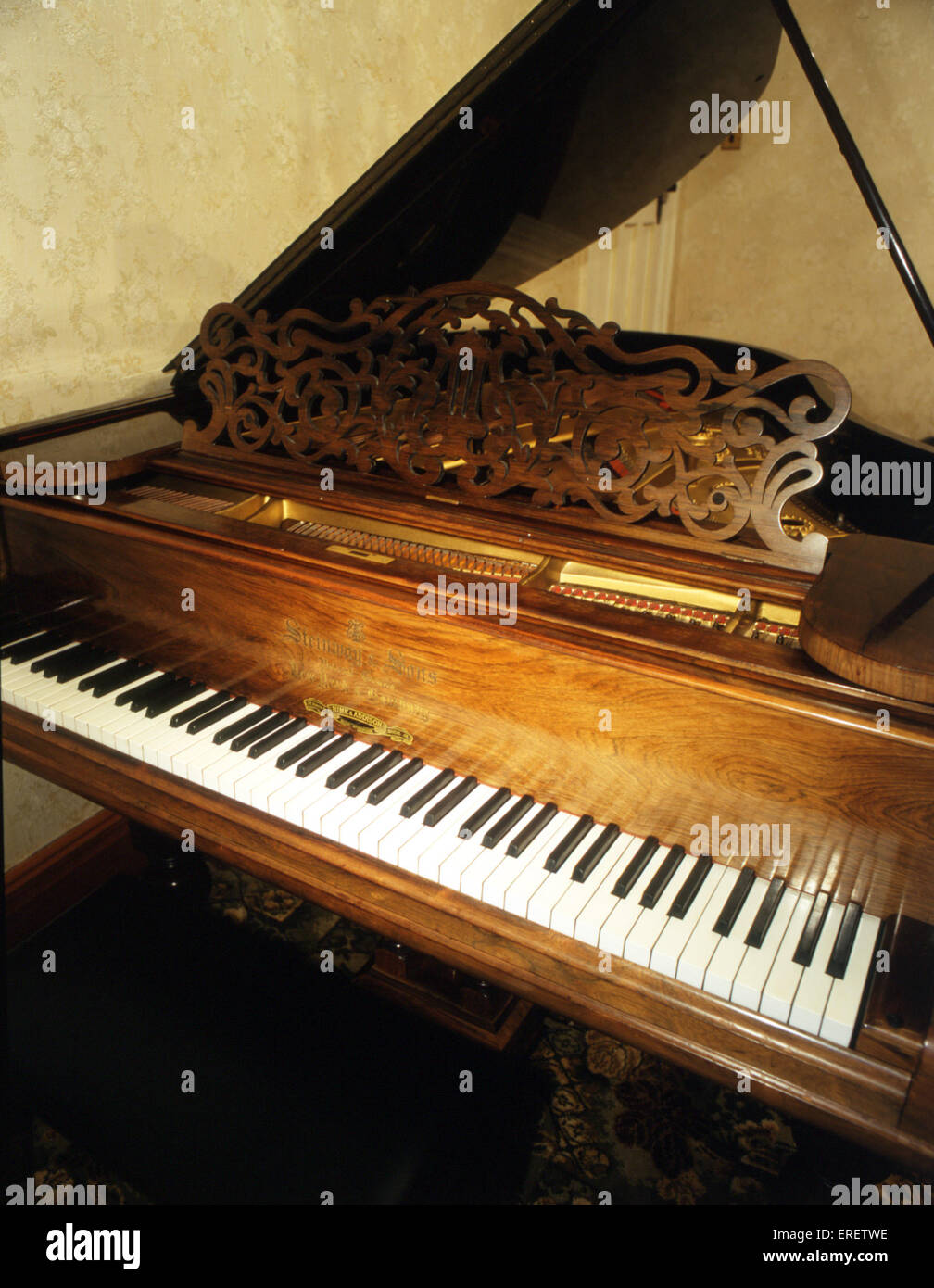 Ivory instruments hi-res stock photography and images - Alamy
