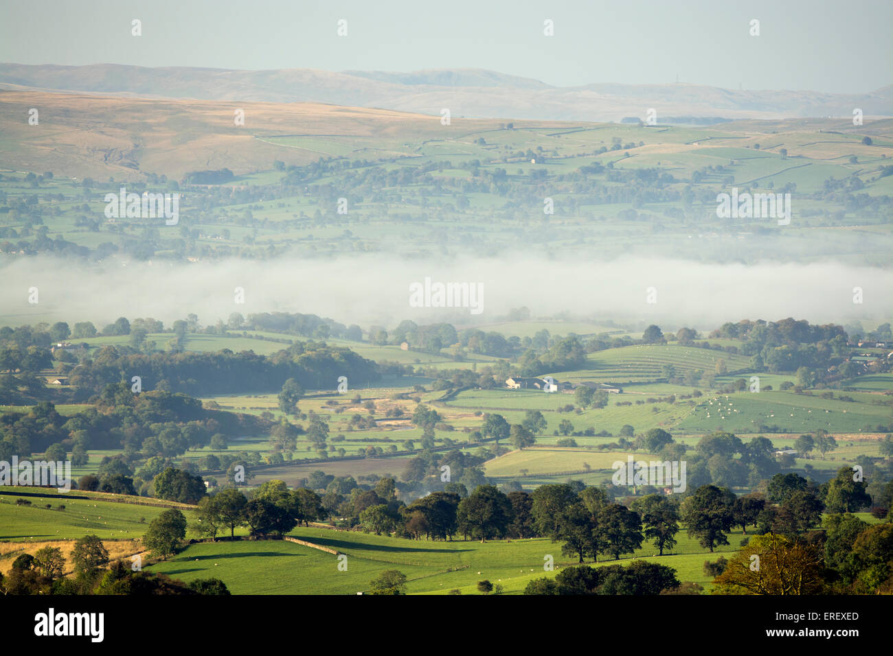 Looking over the Eden Valley near Brough, in early autumn, with mist in the valley bottom. Cumbria, UK Stock Photo