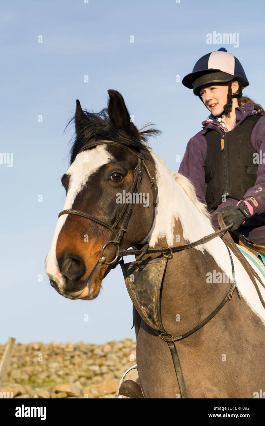 Girl taking a pony for a hack ride along country lanes around Hawes, North Yorkshire, UK. Stock Photo