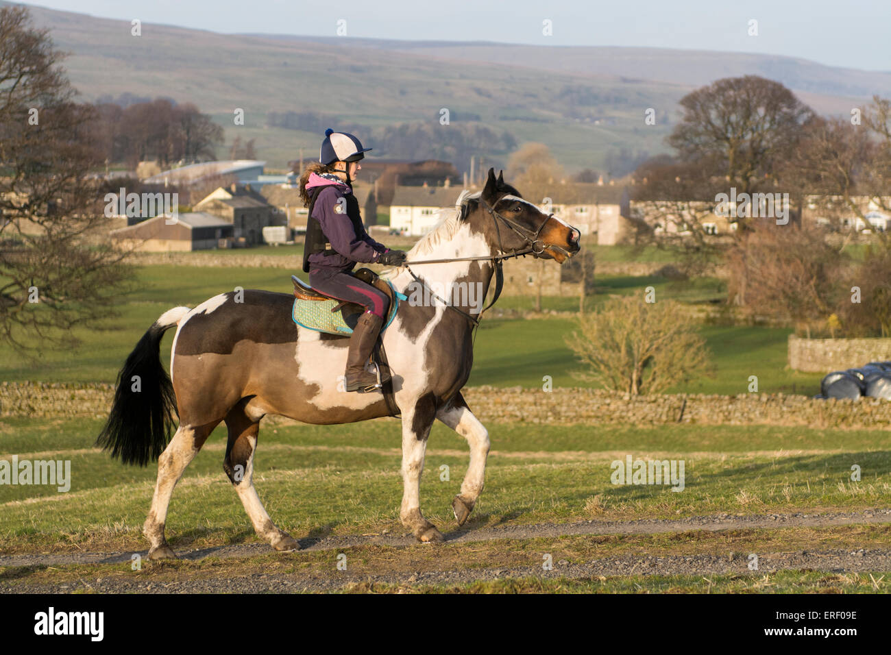 Girl taking a pony for a hack ride along country lanes around Hawes, North Yorkshire, UK. Stock Photo
