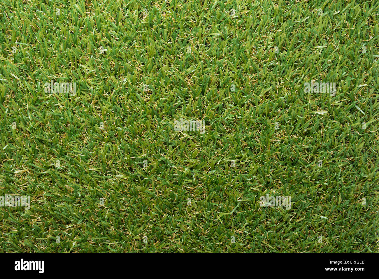 Artificial grass garden hires stock photography and images Alamy