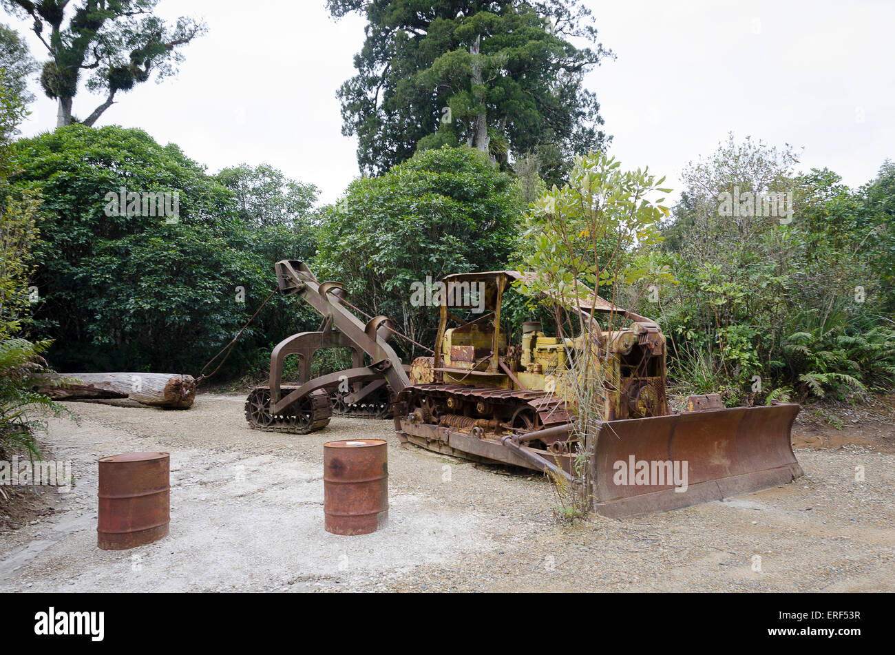 Vintage bulldozer and log hauler, Pureora Forest, North Island, New Zealand Stock Photo