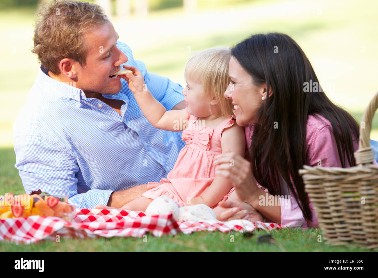 Family Enjoying Picnic Together Stock Photo