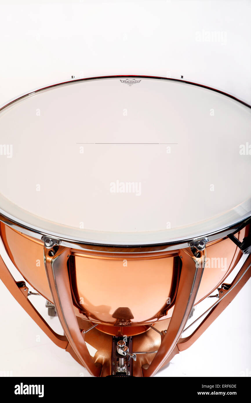 Timpani Heads seeds.yonsei.ac.kr