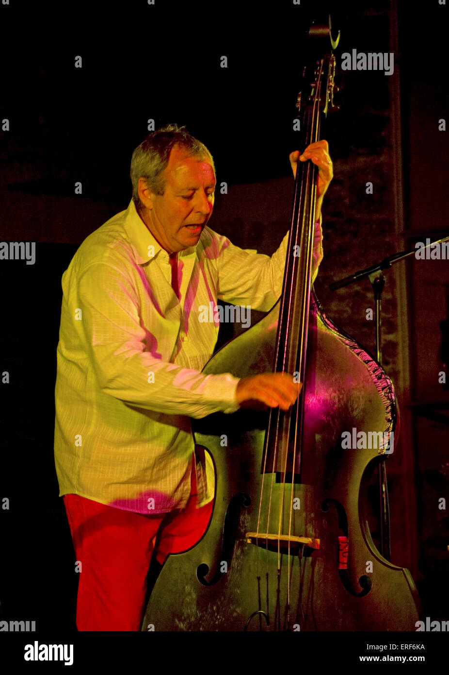 Double-bass player. Alain Huguet, double-bass player with French Dixieland band Les Haricots Rouges. Stock Photo